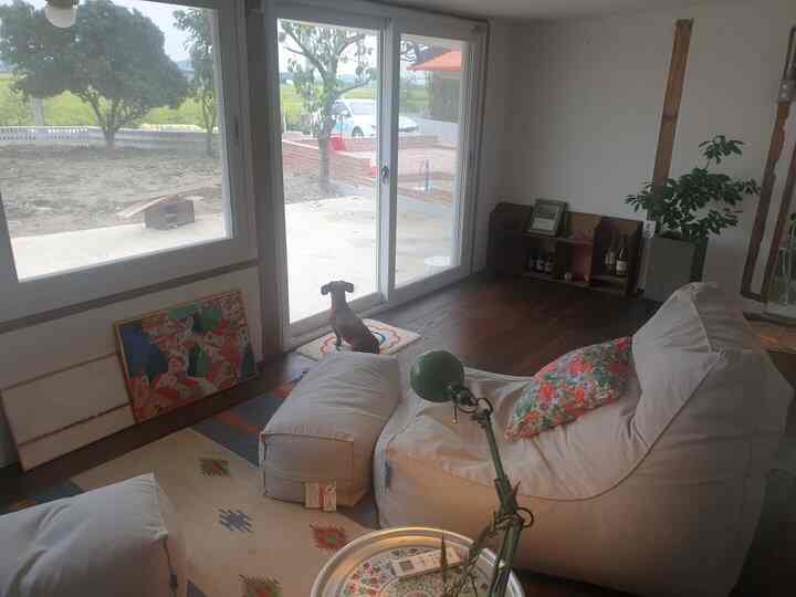 Natural toned living room featuring white bean bag, green floor lamp, a dog by the window with outdoor view, creating a cozy atmosphere