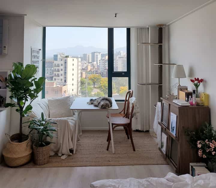 White and wood tone living room featuring sofa, dining table, and plants by large glass windows in a cozy atmosphere