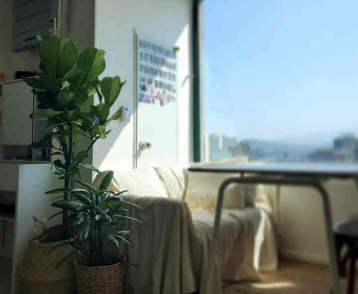 Living room featuring white and natural wood tones, with large plants and a two-seater fabric sofa creating a cozy atmosphere