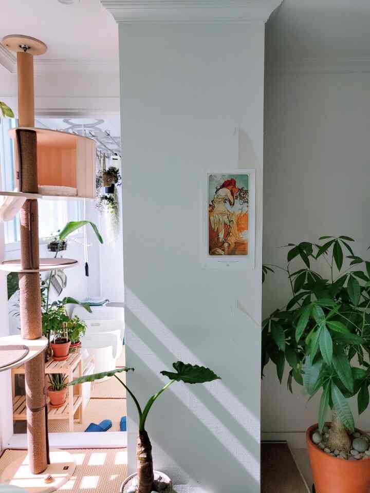 White walls and large windows featuring a wooden cat tower and various air-purifying plants in a natural indoor setting