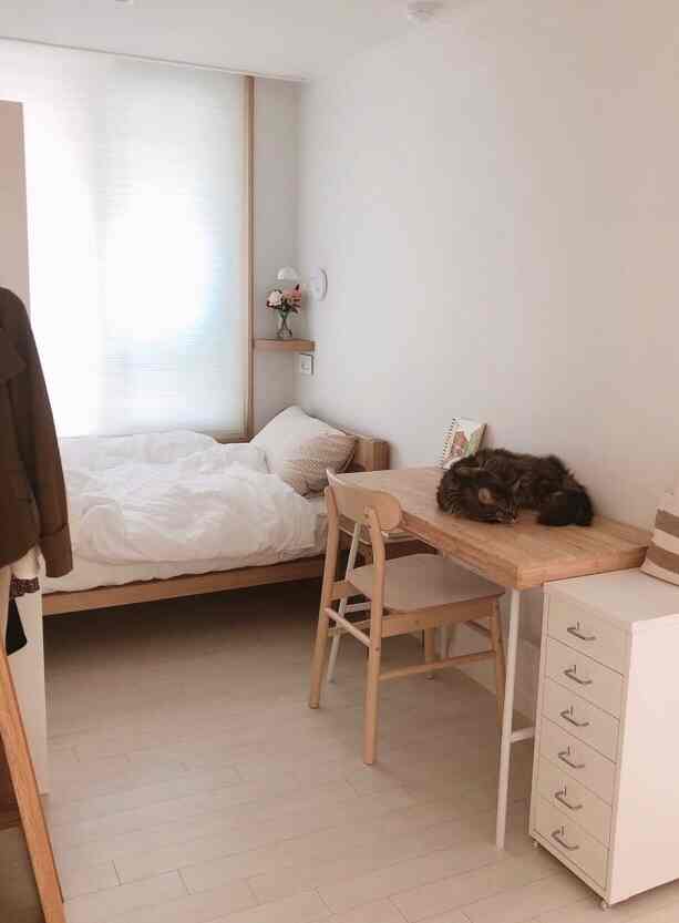 Natural-toned bedroom featuring wooden bed and desk with a cat resting on the desk, creating a cozy atmosphere