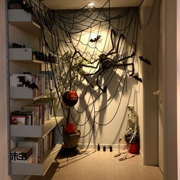 🕷👻
집에 머무르는 시간이 많다보니 좀 지루해서 공간의 변화를 주고 싶은데 할로윈 크리스마스가 좋은 핑계거리가 되네요😊
한 쪽 벽을 제 스타일로 꾸며보았어요
