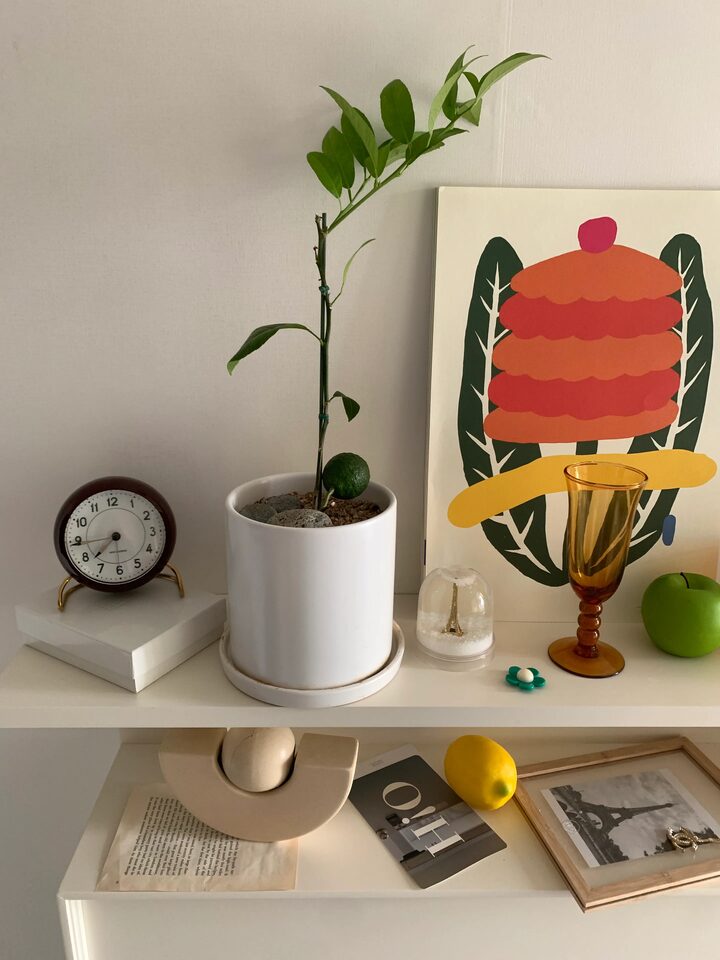 short form carousel card thumbnail