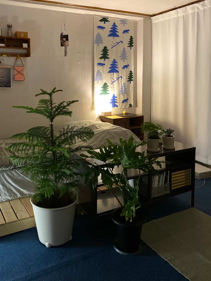 Natural bedroom with vibrant green plants and blue carpet, featuring IKEA storage cabinet and blackout curtains creating a cozy atmosphere