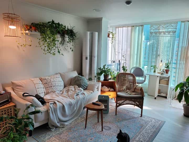 Bright white and natural toned living room featuring cozy sofa and rattan armchair with a calming atmosphere
