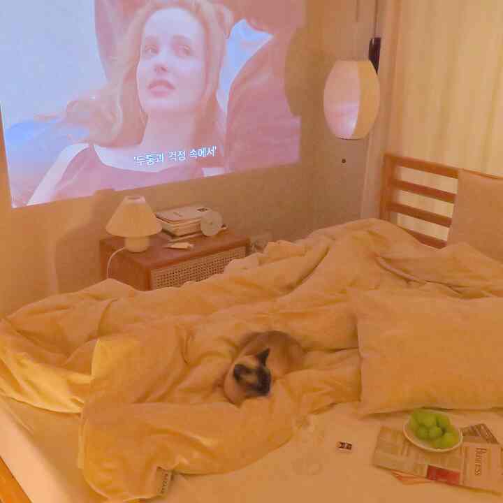 ベージュと木目調が調和した寝室、ベッドの上の掛け布団と穏やかにくつろぐ猫がいる雰囲気のある空間