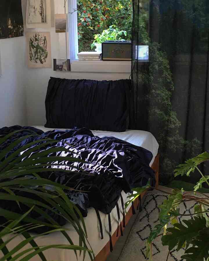 Bedroom with white walls, navy bedding, and green plants creating a natural ambiance