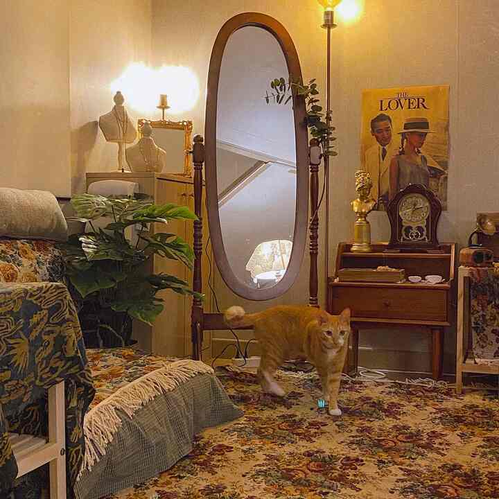 温かみのあるオレンジ色の照明と木製家具が調和したヴィンテージ風の猫がいるリビング空間