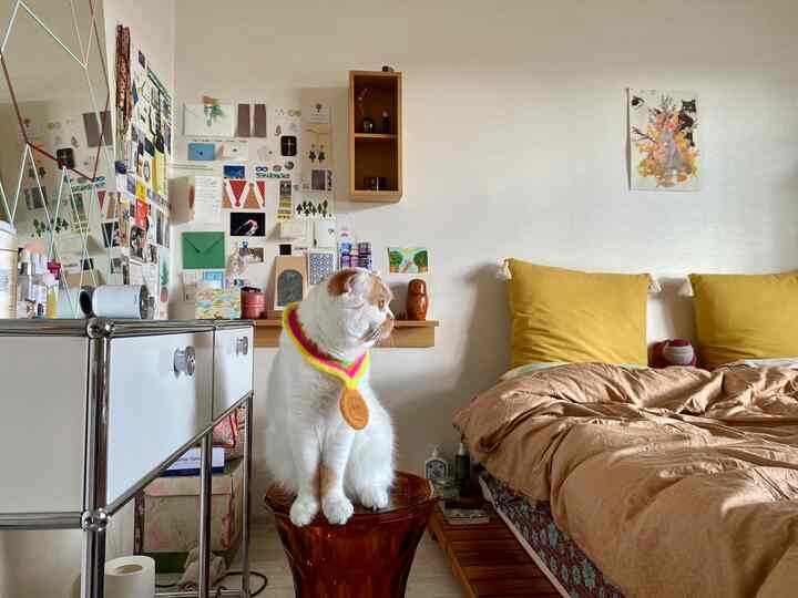 White walls and brown wood tone furniture define a bedroom with a cat sitting on an amber stool, creating a cozy atmosphere