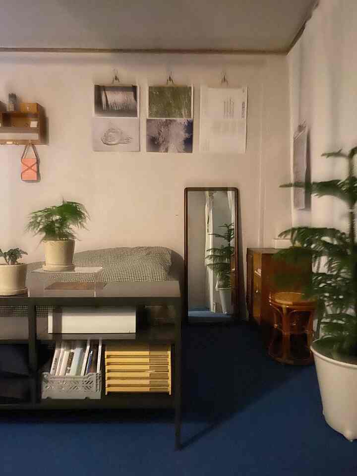 Navy carpeted vintage bedroom featuring wood tone furniture, plants, and posters with a natural ambiance