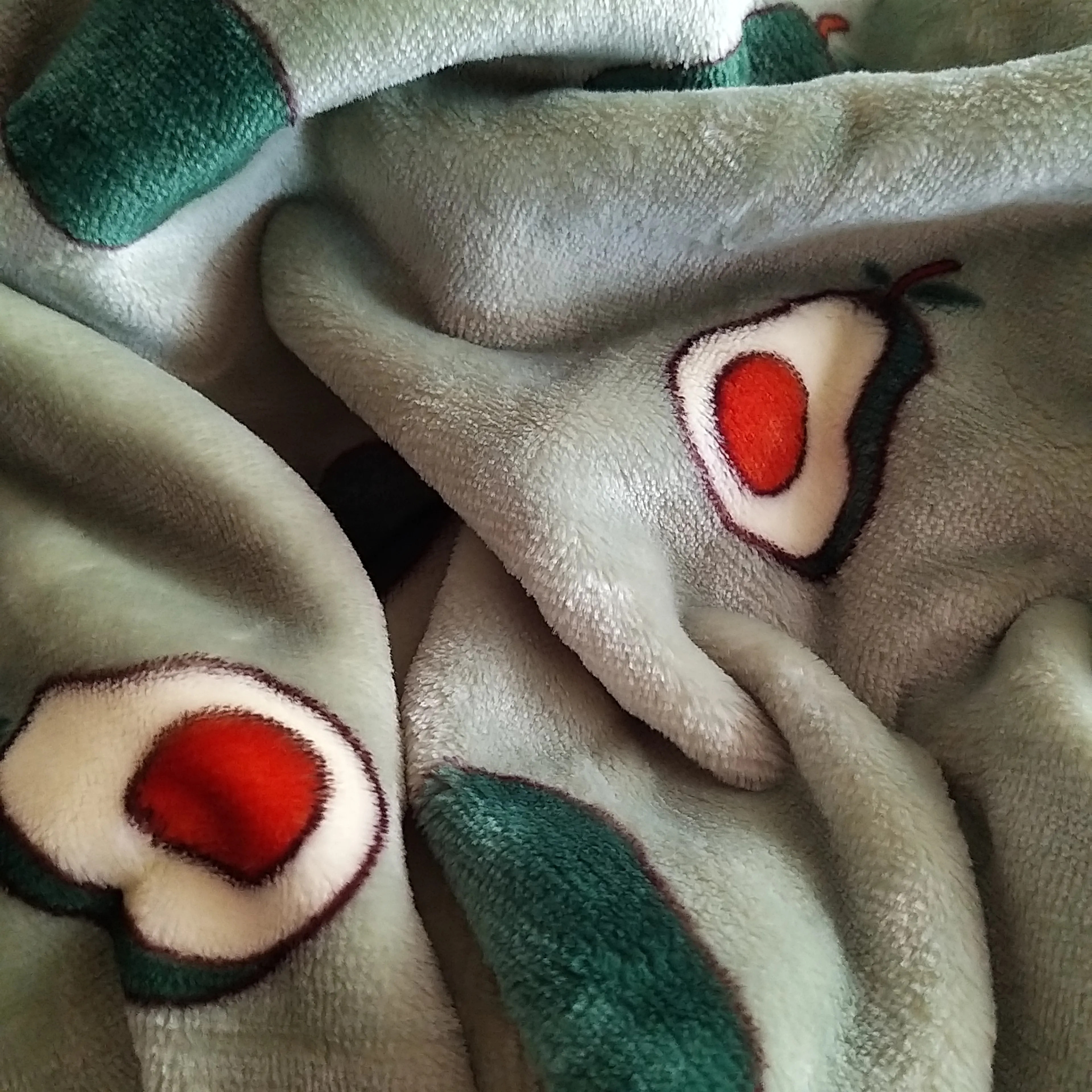 Avocado Microfiber Blanket & Comforter user photo