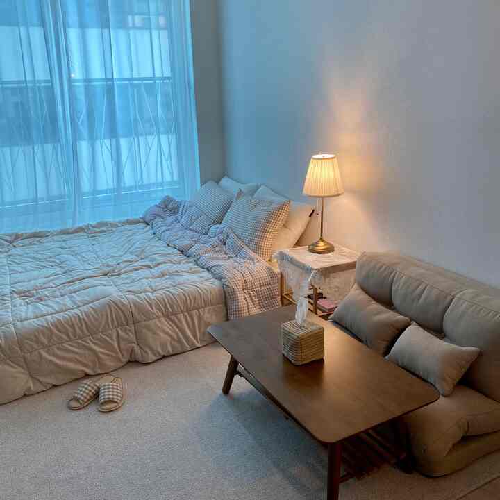 Tagged posts featuring Reclining Floor Sofa Bed 3