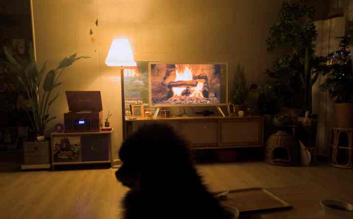 暖かみのあるブラウン調のリビング、中央に犬のシルエットがあり、テレビとフロアランプが配置された雰囲気のあるインテリア