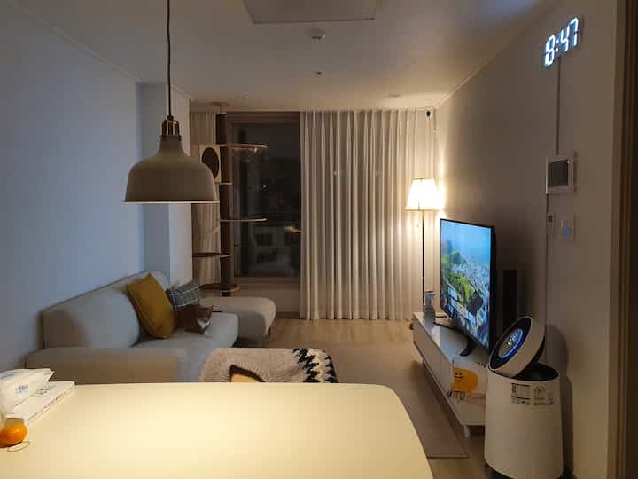 White-toned living room featuring a cat, cat tower, modern furniture, and cozy lighting atmosphere