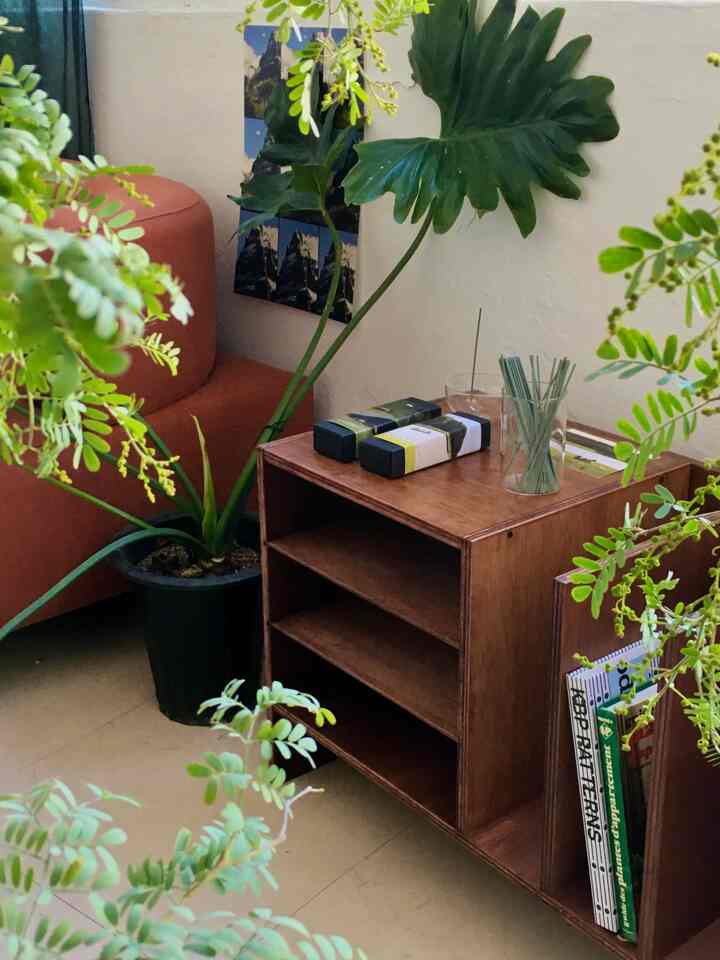 Modern living room with brown wood tones and green plants arranged, creating a warm and natural atmosphere