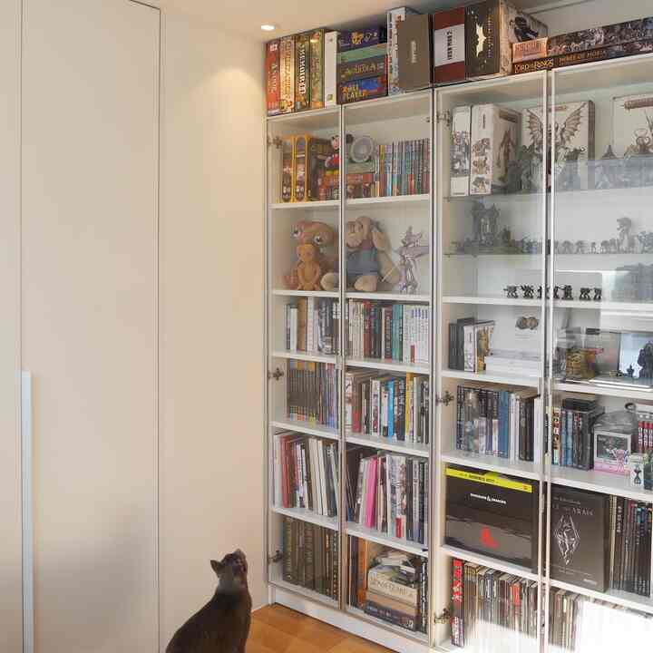White-toned study space featuring glass-door bookshelf with books and a cat for a tidy atmosphere
