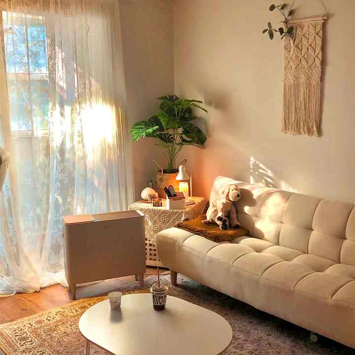 Warm beige and white toned living room featuring cream sofa bed, table lamp, and plant creating a cozy atmosphere