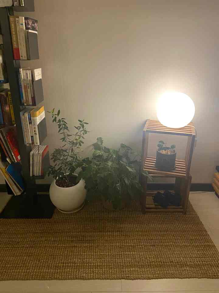 ナチュラルな色調のリビングの一角、木製棚と植物、丸いフロアランプが配置された雰囲気のあるインテリア