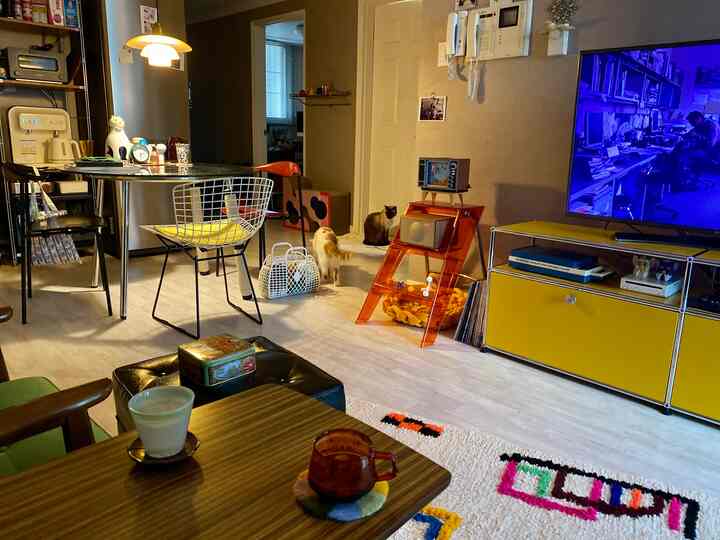 Yellow and wood tone living room featuring dining table and chairs with cats roaming freely, creating a cozy atmosphere