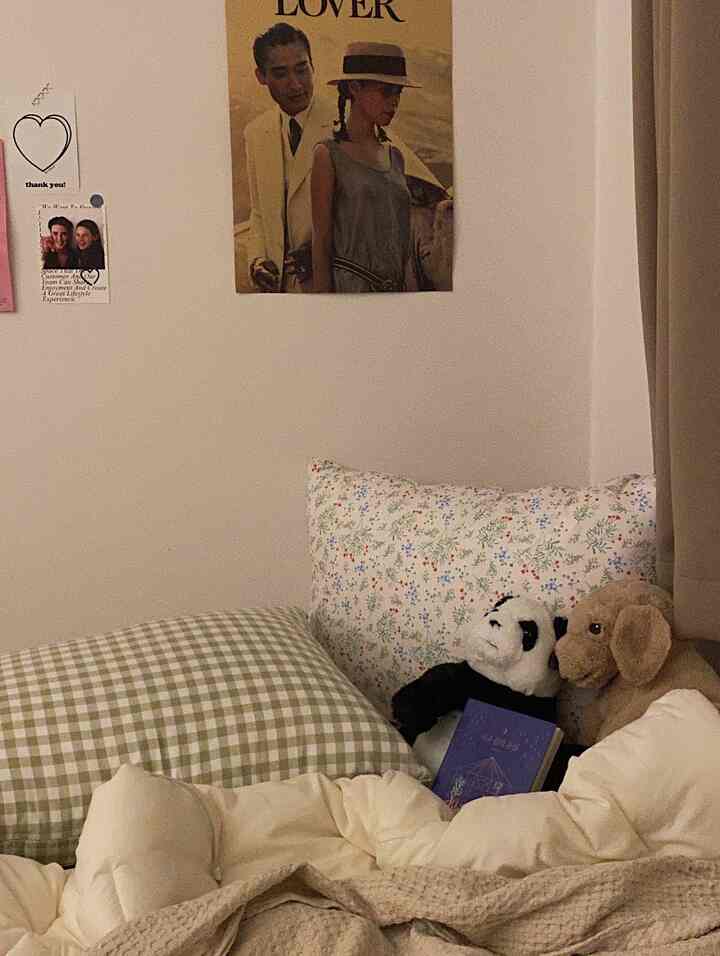 ベージュとナチュラルカラーの寝室、花柄とチェック柄の枕、ペットぬいぐるみが配置された雰囲気のある空間