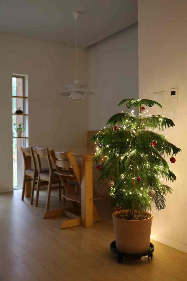 ナチュラルな木目調の床とダイニングテーブルがあるダイニングルーム、クリスマスツリーと温かい照明が印象的な空間