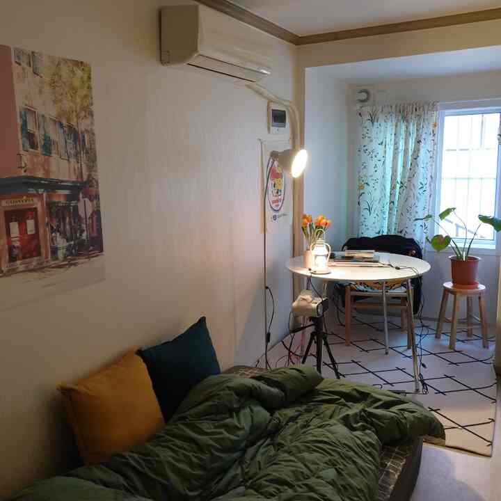 グリーンとイエローのトーンが特徴のワンルーム寝室とダイニングスペース、自然素材の家具と植物が配置された雰囲気のあるインテリア