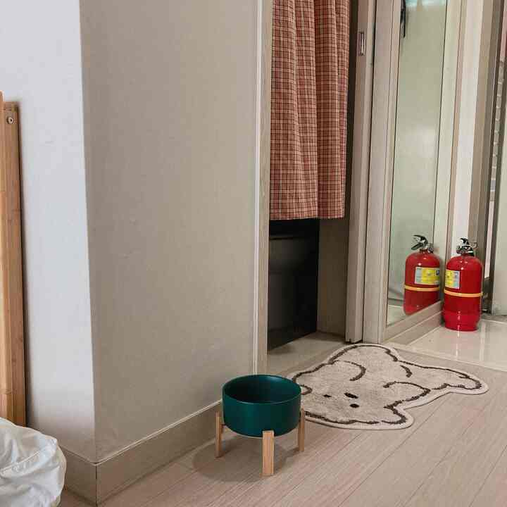 ベージュとブラウンのトーンのトイレにヴィンテージチェックのカーテンとクマの形のバスマット、緑色のペット用食器がある雰囲気のあるインテリア