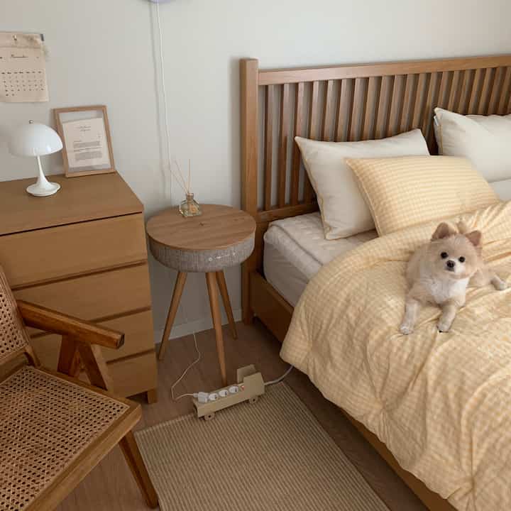 Cozy bedroom with soft wood tones and yellow gingham bedding, featuring a small dog resting on the bed
