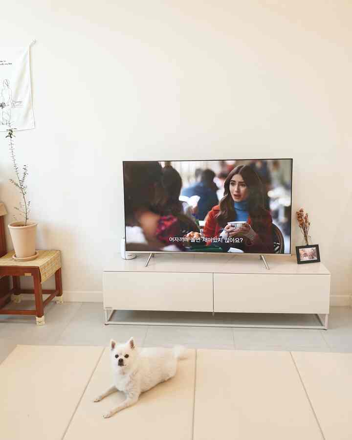 Beige and white toned living room featuring a central 55-inch Samsung TV on a clean white TV stand, a beige foldable pet mat on floor with a white dog, showcasing a natural and minimal space
