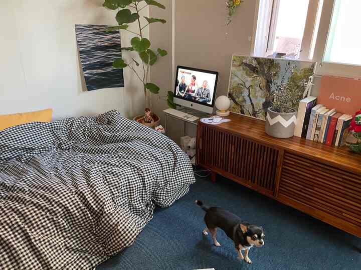 木目調のリビング、チェック柄の寝具とペットの犬が配置された自然で居心地の良い空間