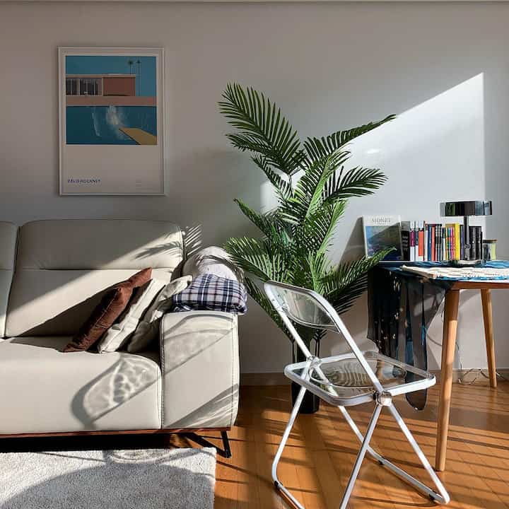 Natural modern living room with white walls and wood-tone floor featuring cream sofa, transparent folding chair, and large areca palm plant for a cozy cafe atmosphere