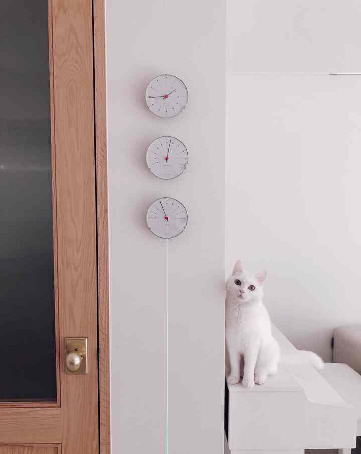 White and natural toned entrance featuring a cat and three clocks with a clean atmosphere