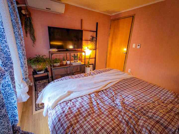 Cozy vintage-style bedroom with soft pink walls and wood-tone flooring, featuring checkered bedding, various plants, a TV, and warm lighting