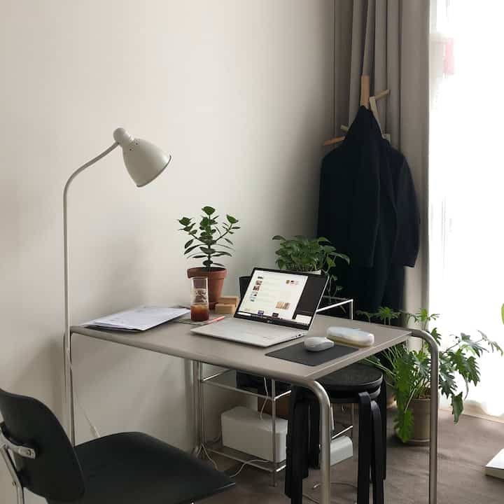 Gray-toned studio apartment home office featuring a laptop on desk and multiple green plants creating a cozy workspace