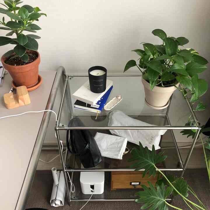 Gray-toned space featuring a modular glass shelf and potted plants creating a neat and modern storage area