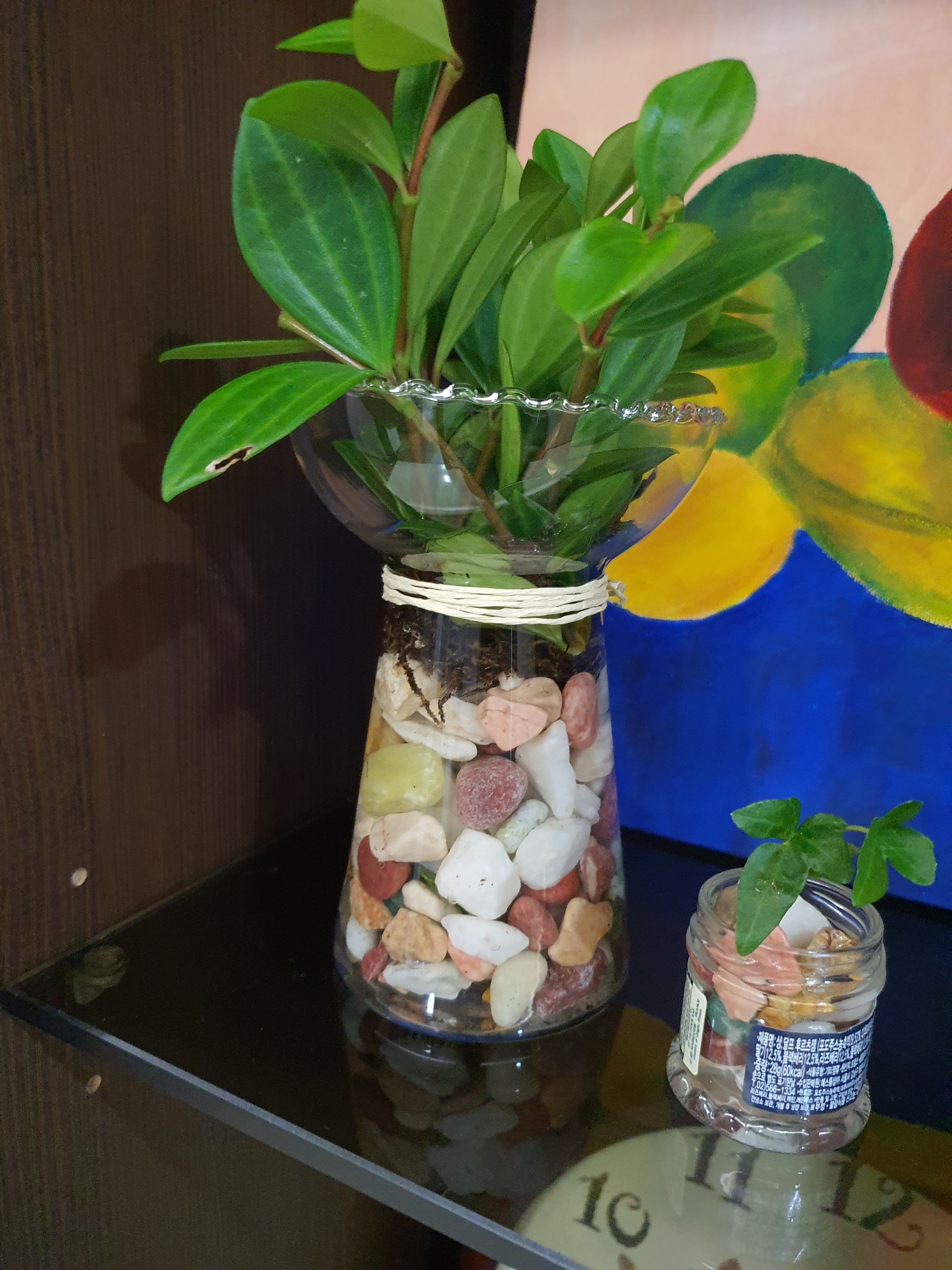 Floral 3-Compartment Food Storage Bowl Set with Lids (4-Piece) user photo