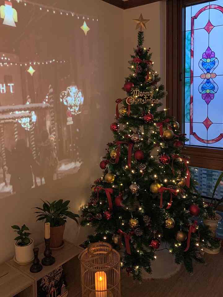 温かみのある赤とゴールドのクリスマスツリーとキャンドル、植物が配置された居心地の良いリビングの雰囲気