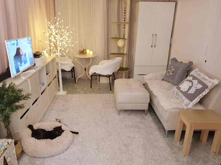 ホワイトトーンの一人暮らしリビング、ソファとキャットタワー、ペットベッドが配置された雰囲気のあるインテリア