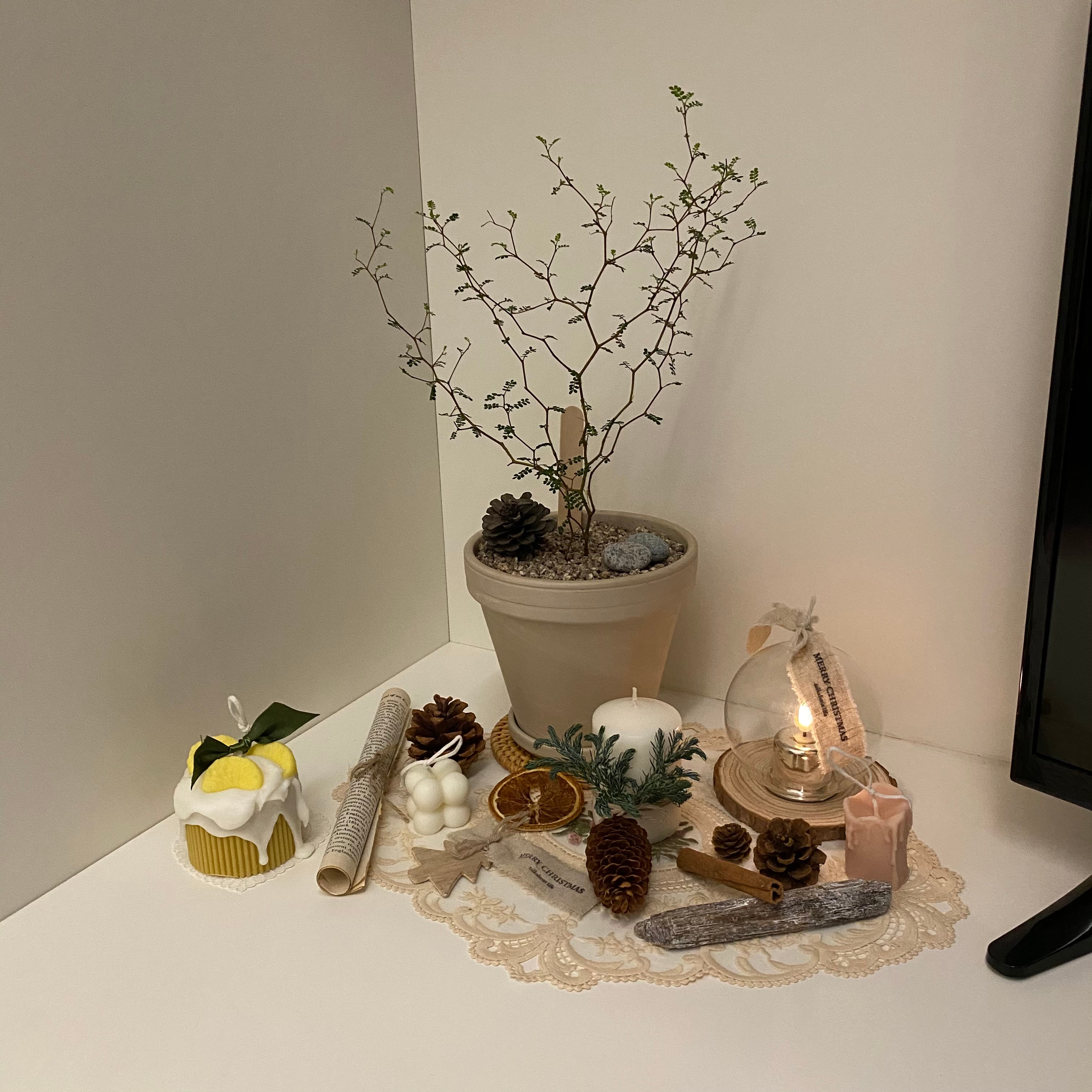 Citrus Drizzle Candle – Lime Lemon user photo