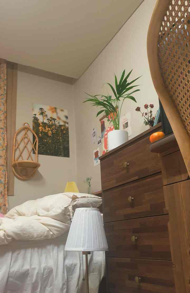 Beige and wood tone bedroom featuring rattan chair, dining chair, plants, and posters, creating a cozy atmosphere