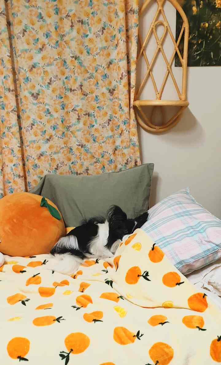 Cozy bedroom with yellow-orange blanket and cushions, featuring a dog lying on the bed