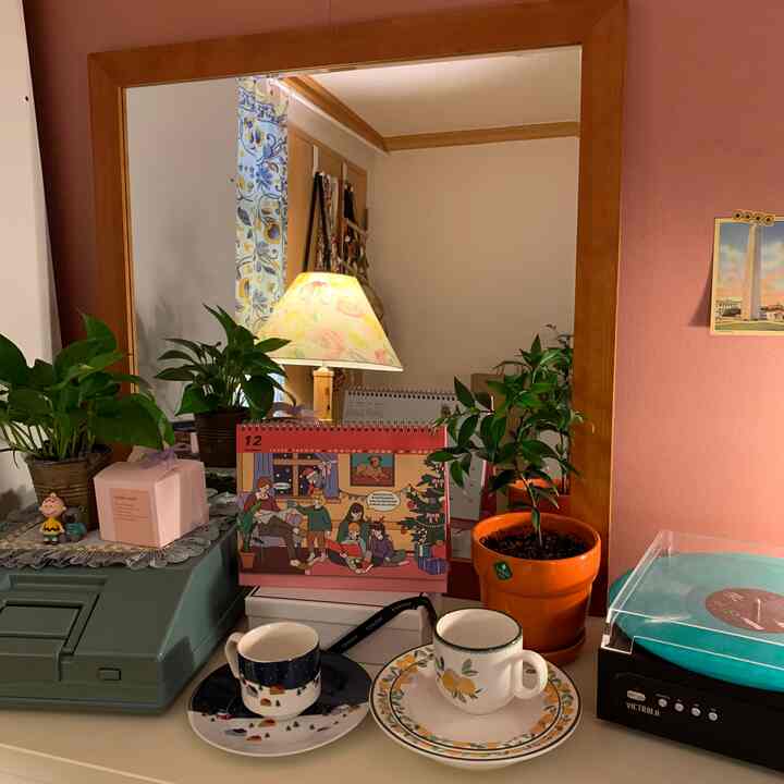 Warm indoor space with green plants and pretty cups placed before a wood-toned framed mirror