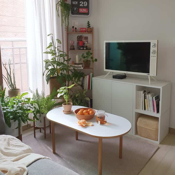 Soft natural toned living room featuring a white oval table centered and a variety of plants on the left, creating a cozy atmosphere