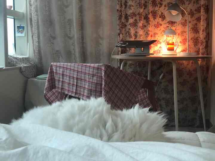 Natural-tone bedroom with warm lighting and floral curtains, featuring white bedding and a fluffy cat creating a cozy atmosphere