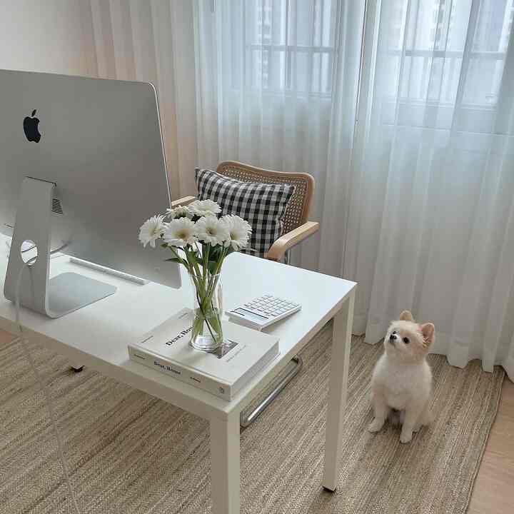 白とナチュラルカラーのホームオフィス、白いデスクとラタンのアームチェア、小さな犬がいる落ち着いた作業空間