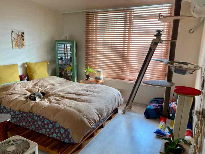 Beige and wood-toned bedroom featuring a large central bed with cats and a cat tower on the right, creating a cozy atmosphere