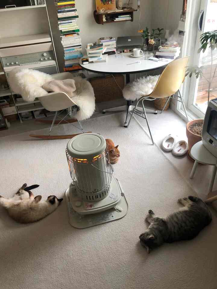 White and beige toned living room featuring a round table, heater, and cats resting comfortably in a cozy setting