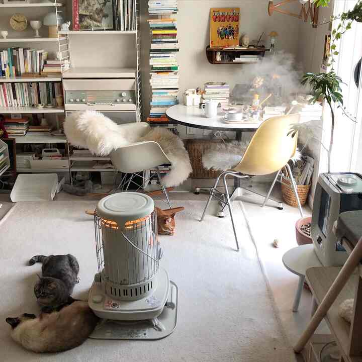 Warm beige and white toned living room featuring lounge chairs, rug, two cats, and a heater creating a cozy atmosphere