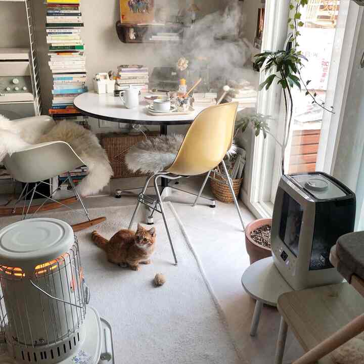 White and beige toned studio living room featuring a cat on a rug, lit heater, and a home cafe table with chairs creating a cozy atmosphere