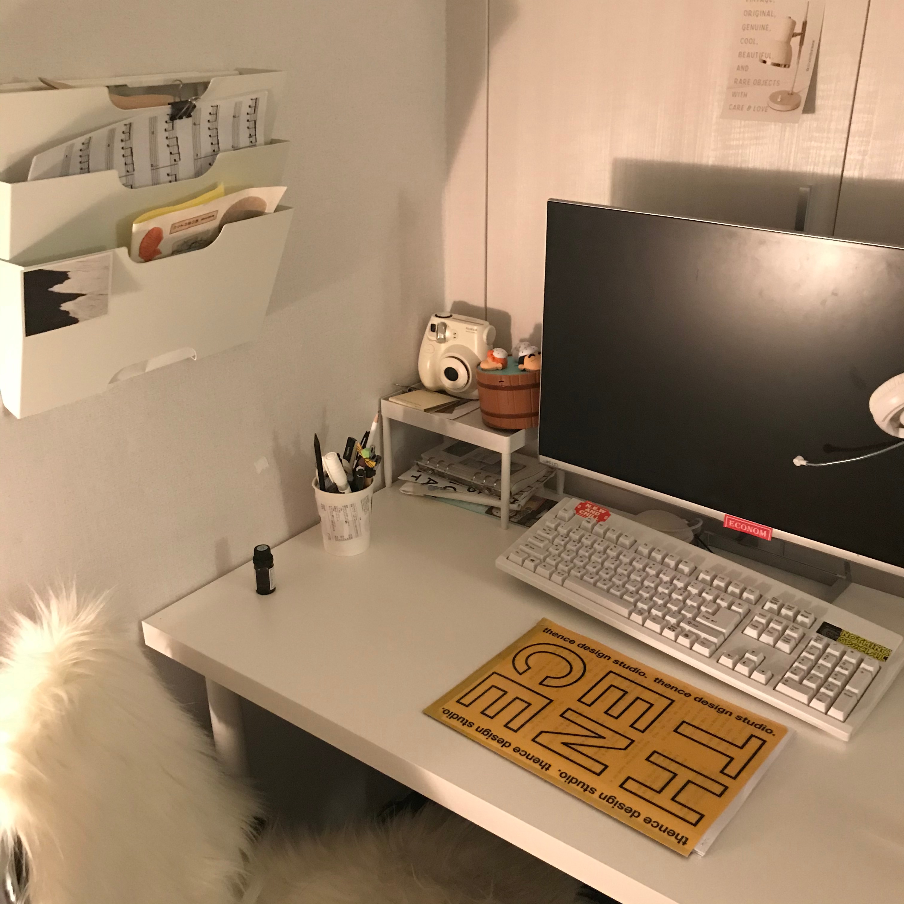 IKEA KVISSLE Wall Magazine Rack | Storage & Organization | Ohouse